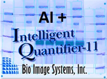 AI + IQ11 Software