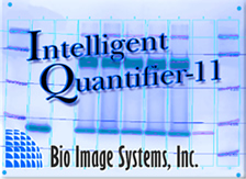 Intelligent Quantifier-11 Software
